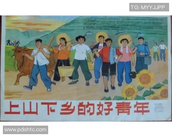 追忆那些年我们心中的足球偶像与激情岁月