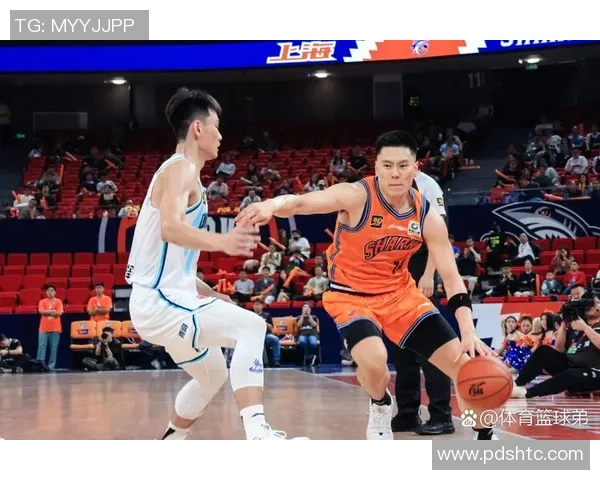 聚焦篮球：上海篮球队的战术话题